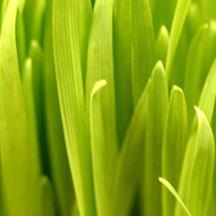 DDOS压力测试网页端